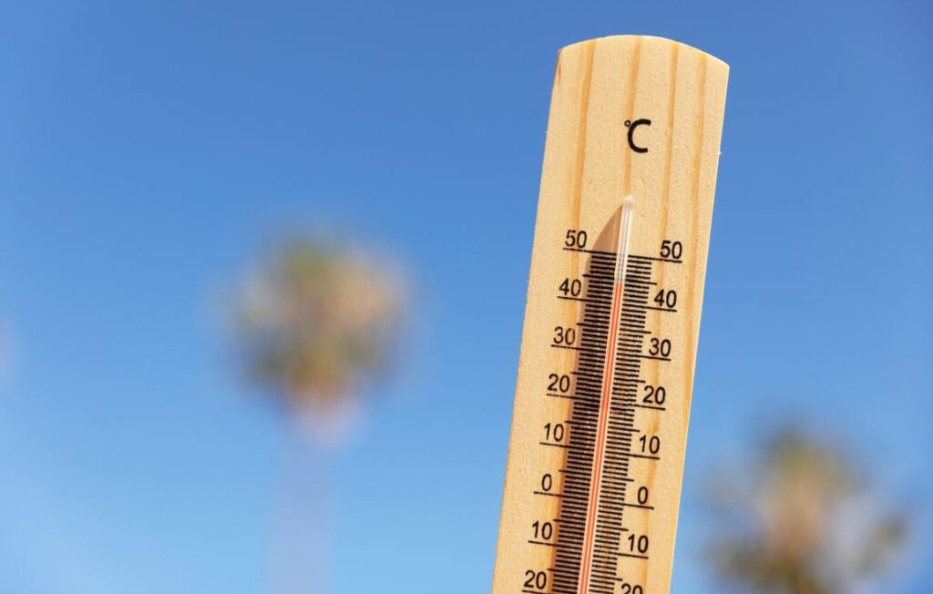 Image: thermometer