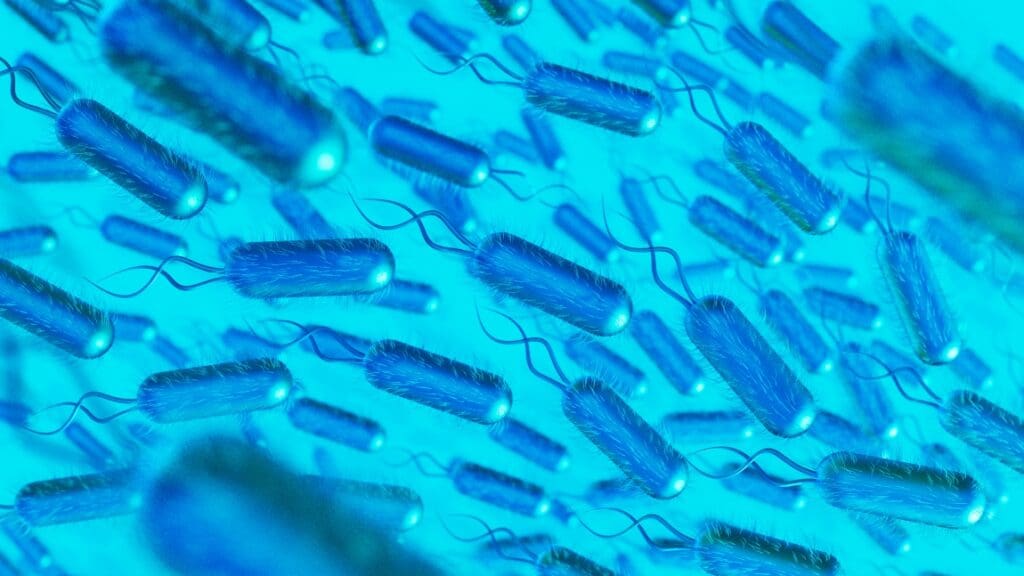 Image: Microscopic pathogens (3D art)