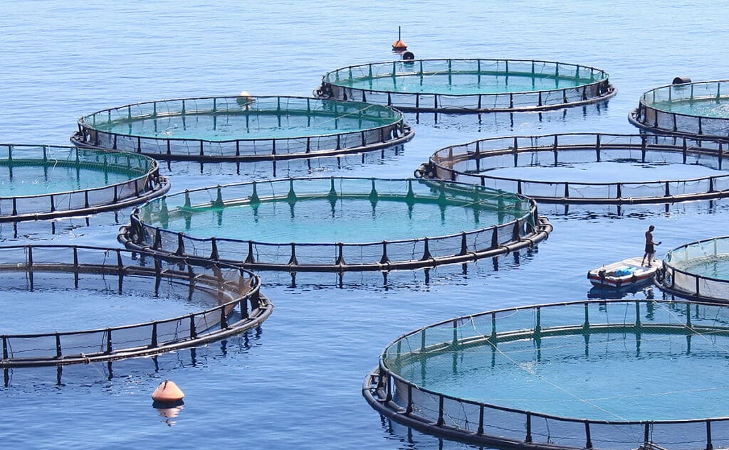 Fisheries