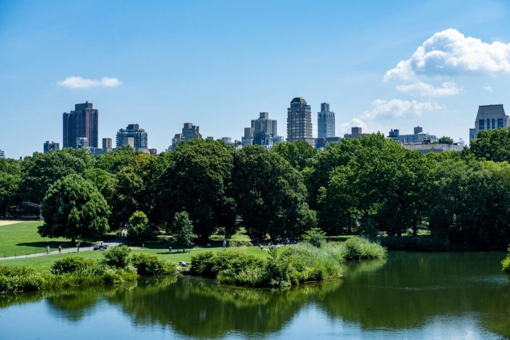 Image: a park with trees and a body of water with a city in the background