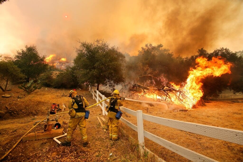 Image: Wildfire (s. forest, fire, climate)