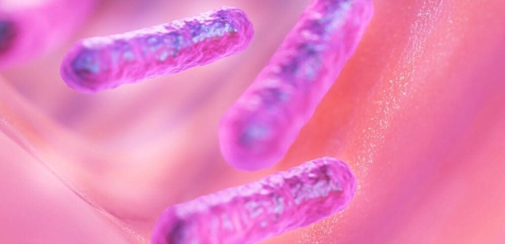 Image: Bacteria (art)