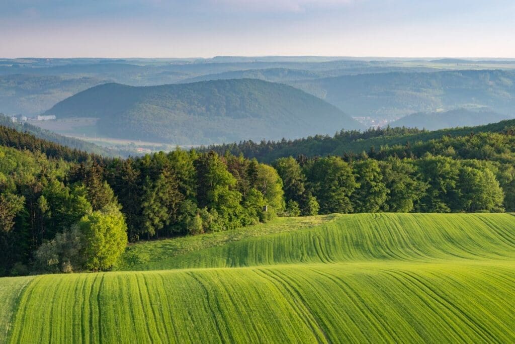 Image: green fields on hills surrounded by a green forest (s. nature)