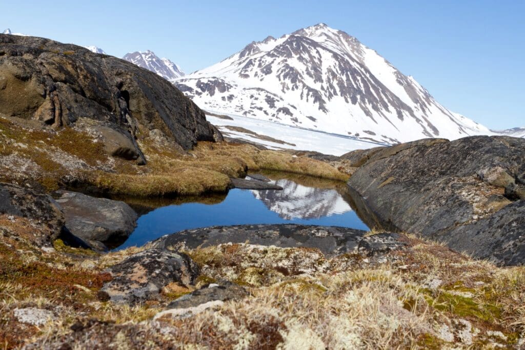 A rocky landscape with tundra plants near the eastern coast of Greenland, similiar to what the interior of the island may have looked like when its massive ice sheet melted away
