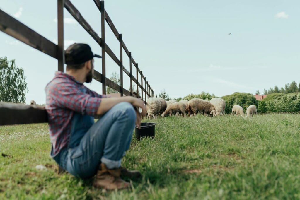 Image: Man in Blue Denim Jeans Sitting