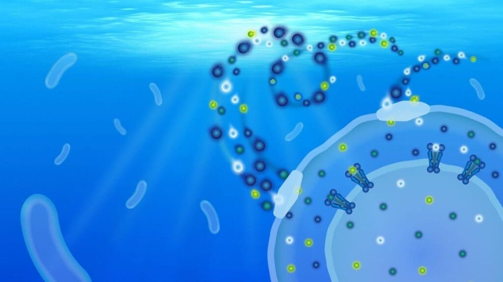 Image: Artist impression of the transport proteins of SAR11 bacteria