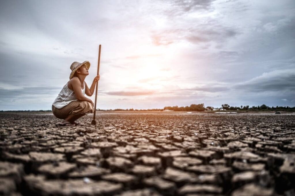 Image: The woman sat his hand and caught a Siem on dry soil and looked at the sky