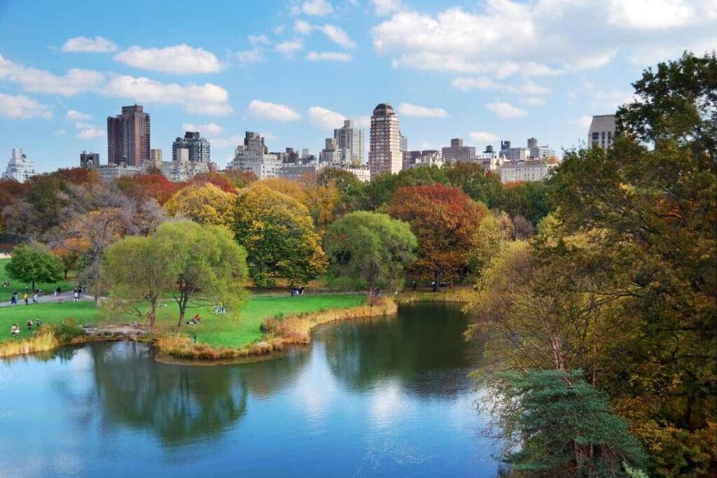 Image: New York City Central Park
