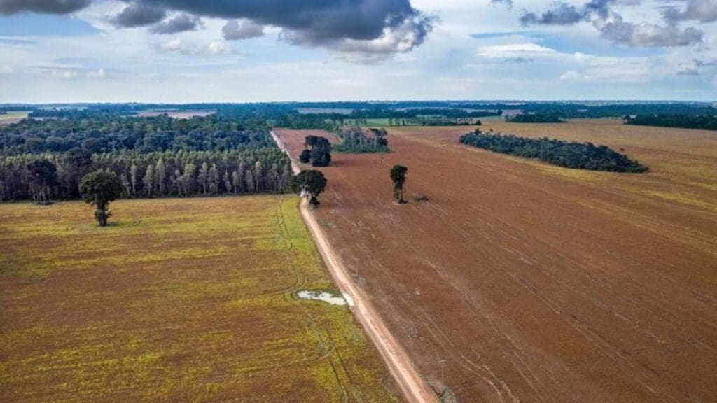 Image: Fragmented and degraded forests in the Santarem region, Brazil