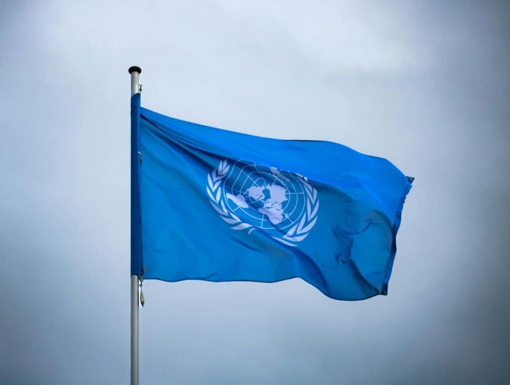 Image: UN Flag