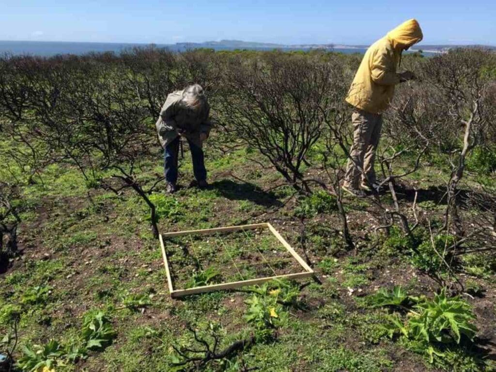 Image: Scientists in a field