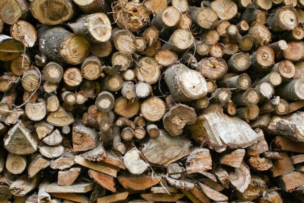 Image: Sawed wooden texture, close up (s deforestation, nature)