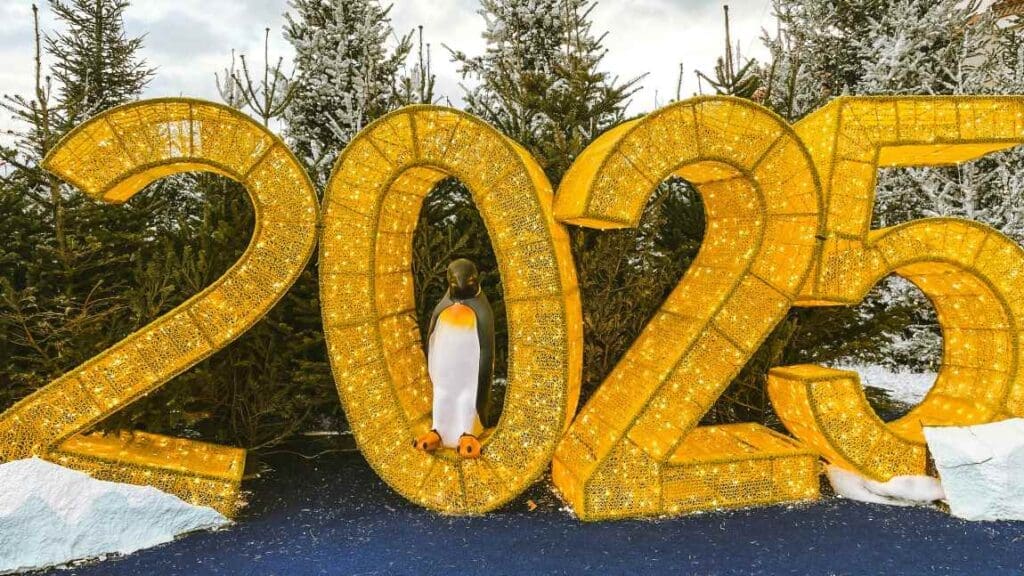 Image: Penguin standing in a sign of 2025