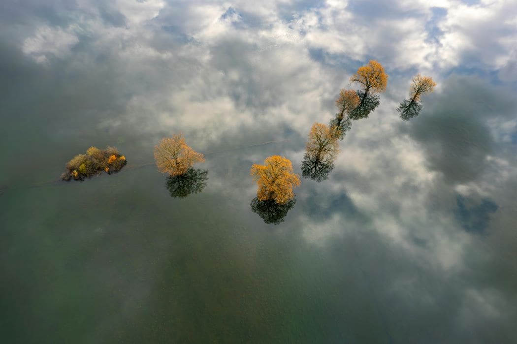 Moral values and regional differences in climate change attitudes ...