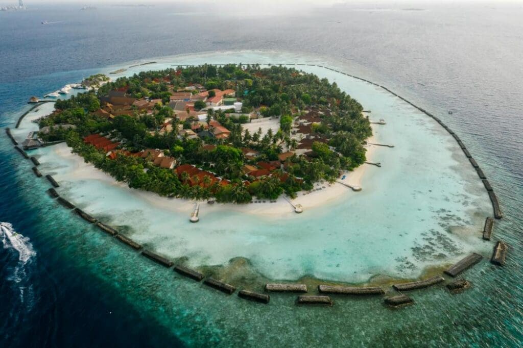 Image: Aerial View of City Near Body of Water, Palau