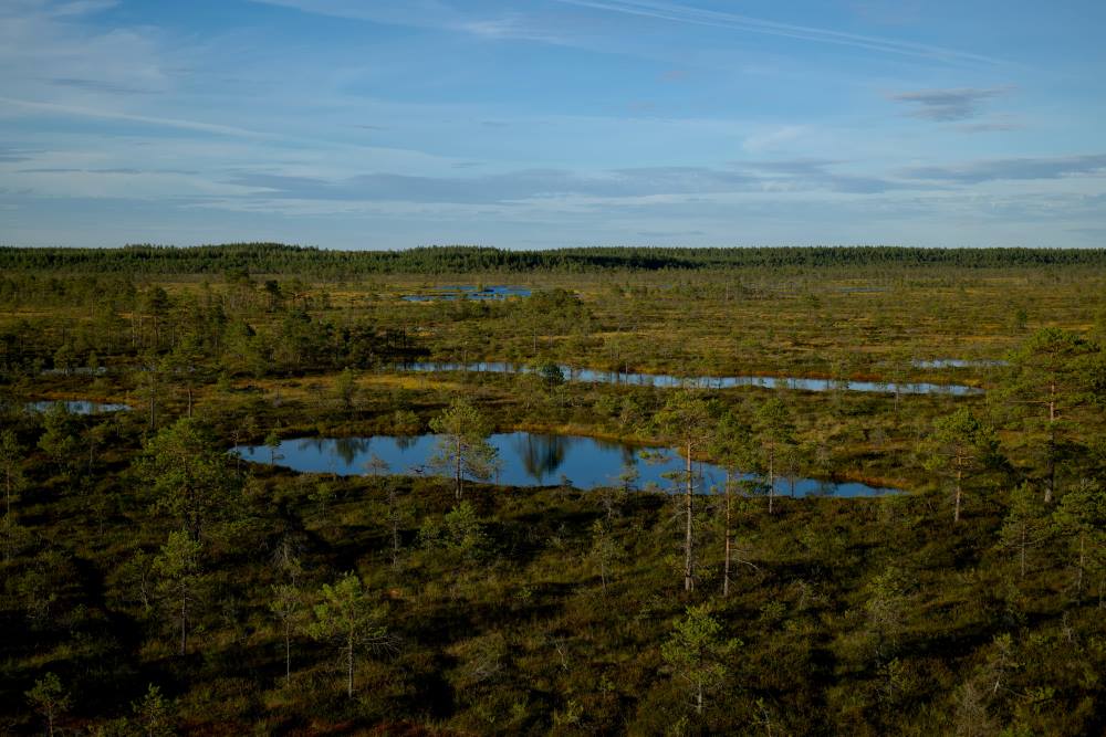 Image: Beautiful landscape with ponds (s. terrestrial carbon, climate)