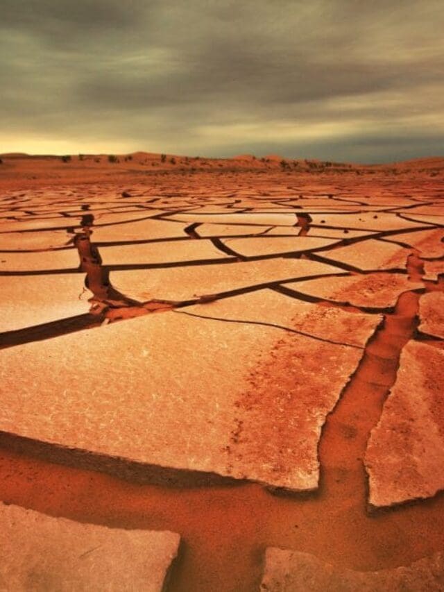 Web Story: South Africa’s land is rising due to drought and water loss