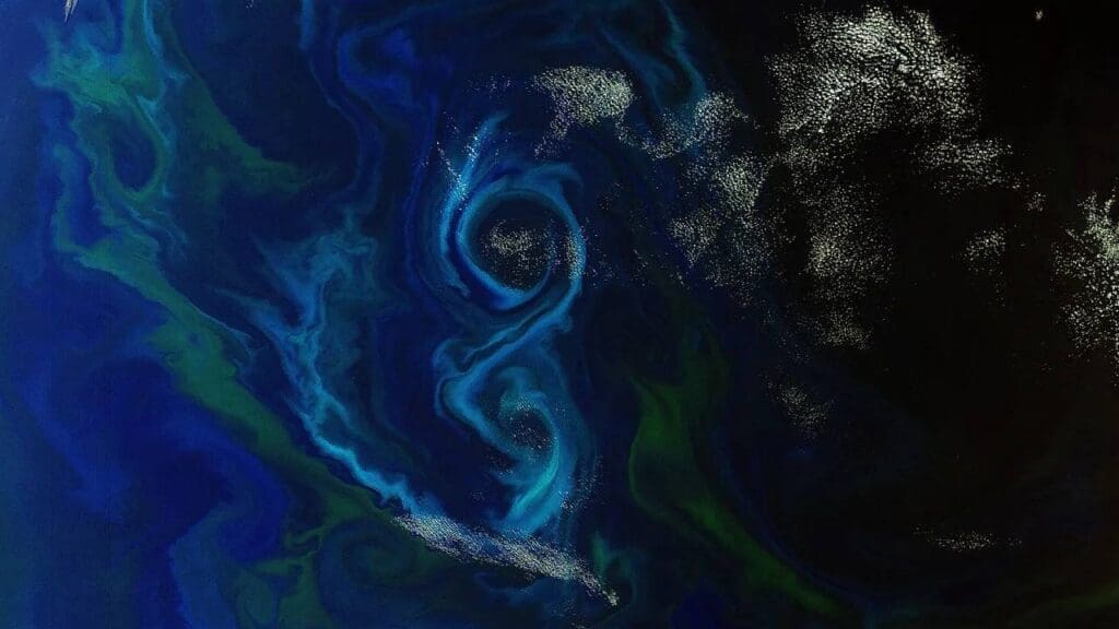 Satellite Image: In this Envisat image, a phytoplankton bloom swirls a figure-of-8 in the South Atlantic Ocean about 600 km east of the Falkland Islands (2 December 2011)