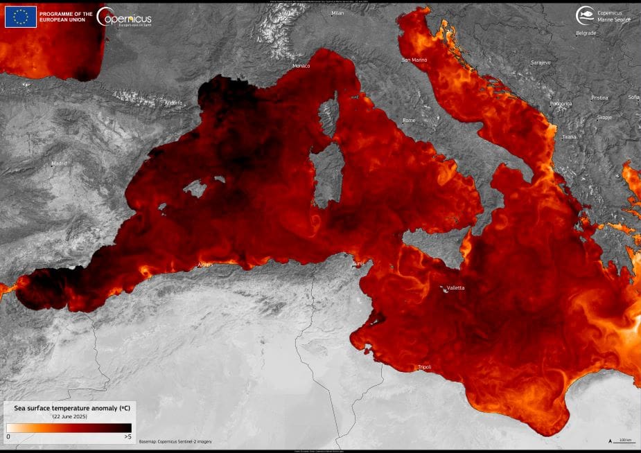 Image: marine heatwave is ongoing in the Mediterranean Sea