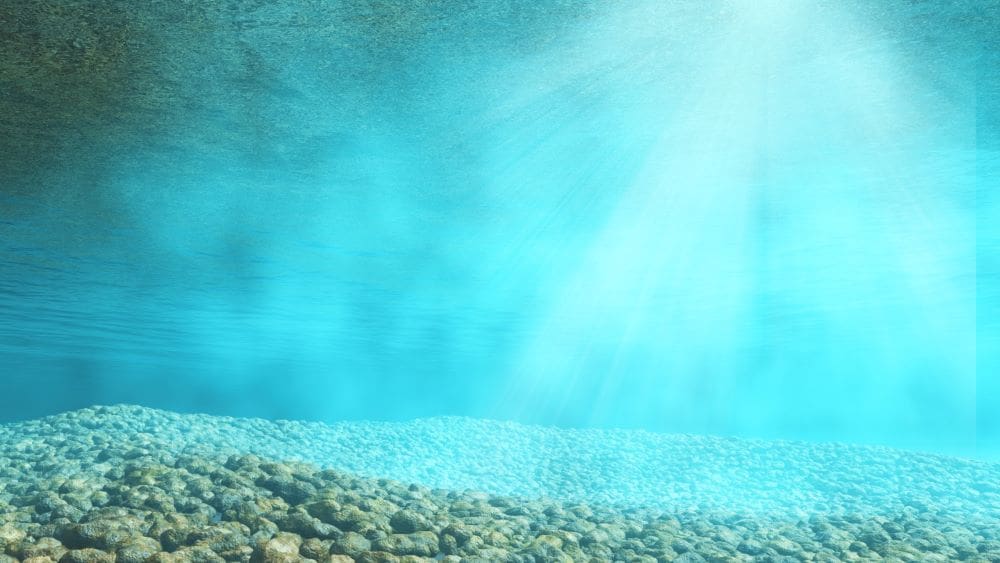 Image: deep sea (s. ocean anoxia, climate change)