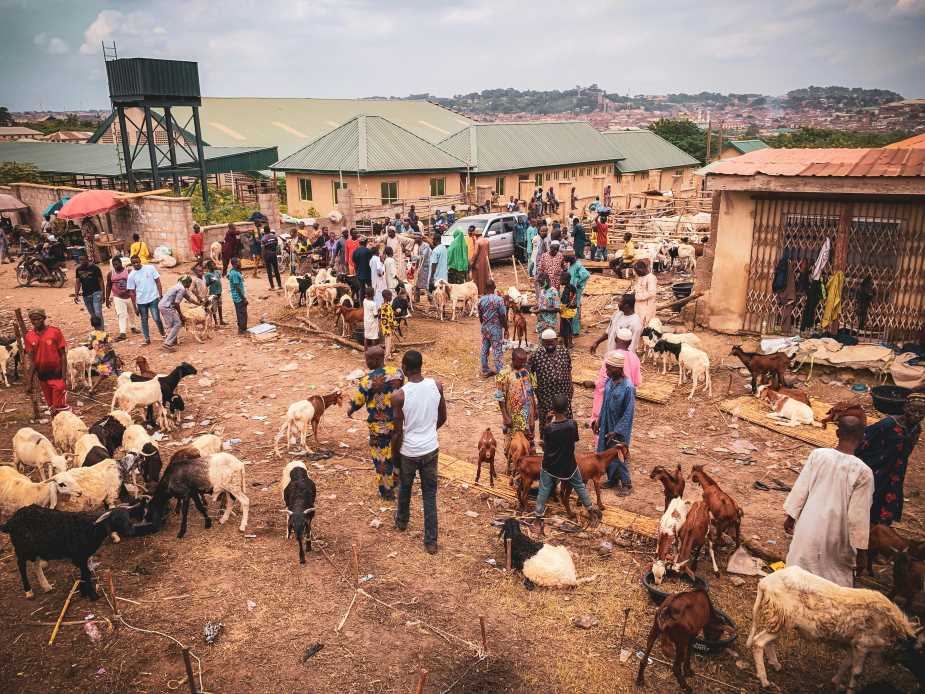Image: People and animals crowd in a village, Africa (s. climate change mitigation)