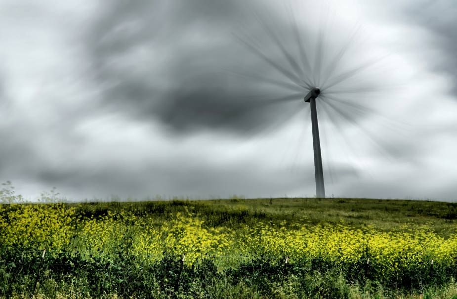 Image: wind speed, windmill, field with yellow flowers