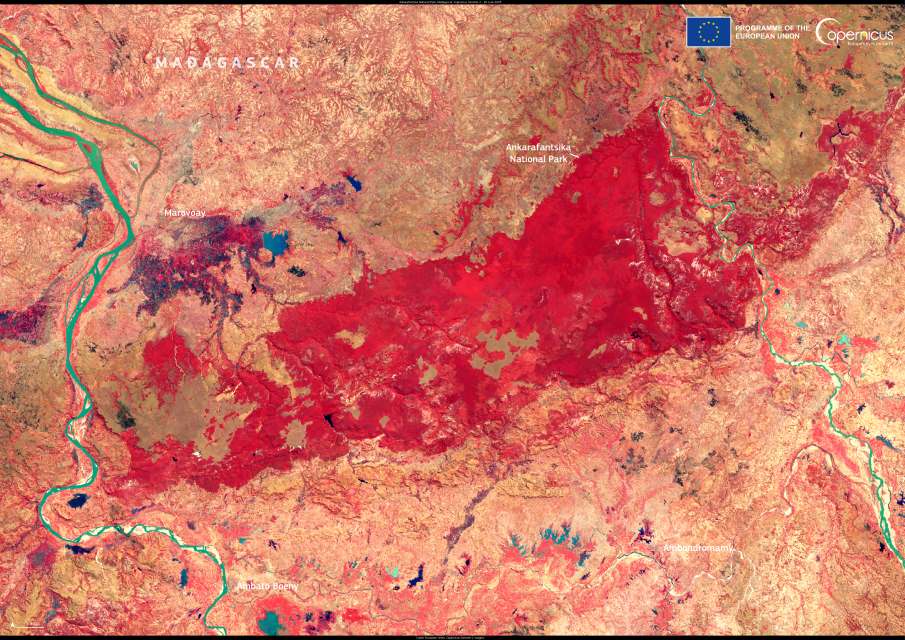 Image of the day: Madagascar’s Ankarafantsika, between two great rivers