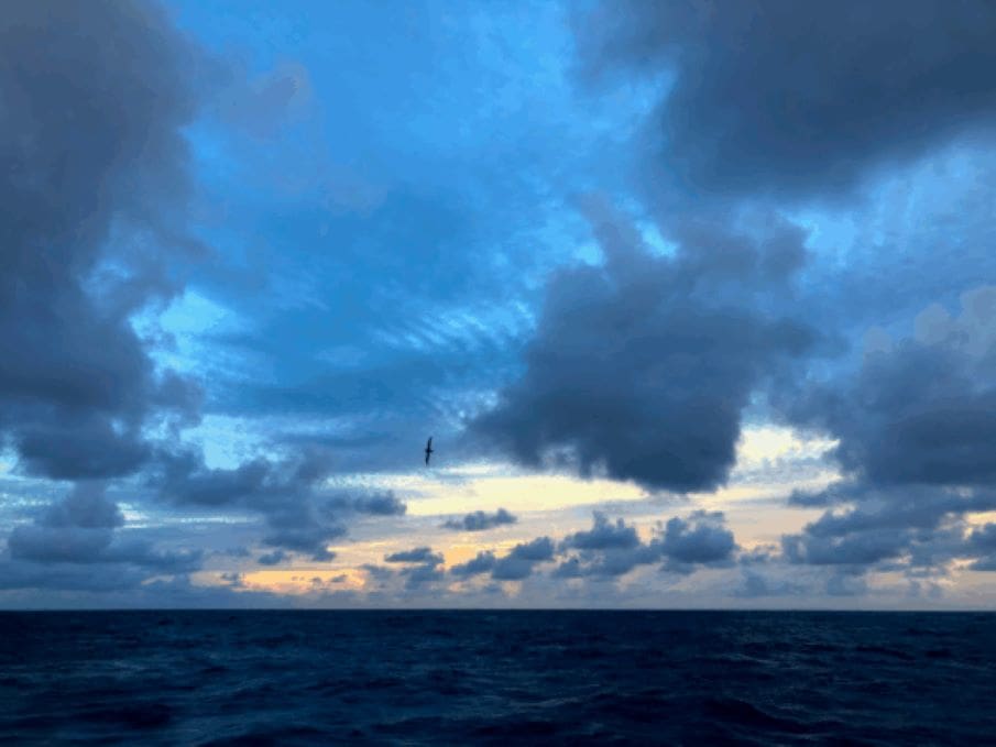 Image: Station ALOHA, Pacific