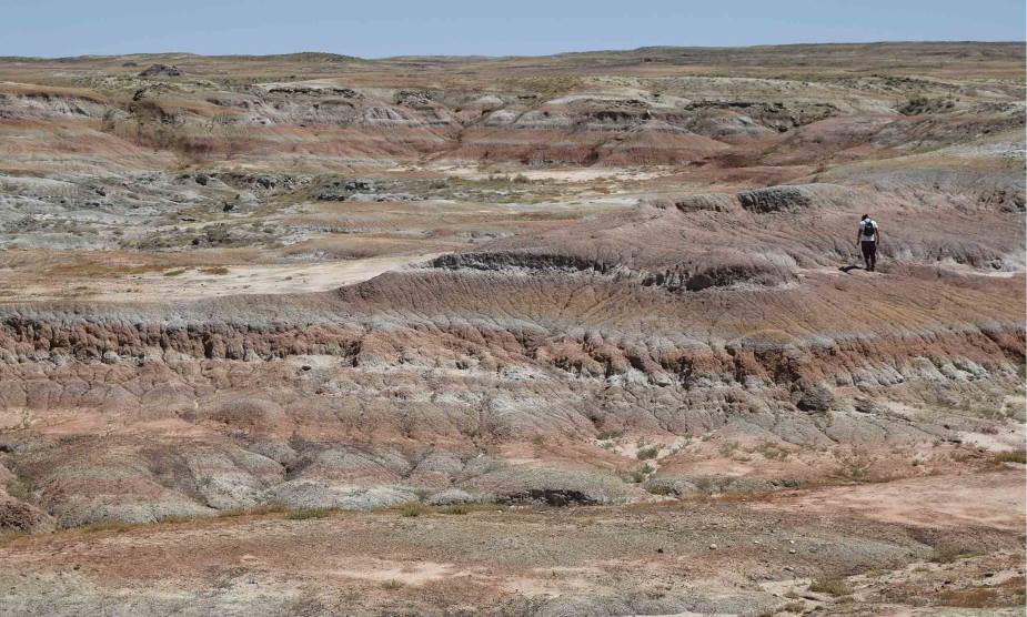 Ancient predator’s bone-crunching diet reveals secrets of climate survival