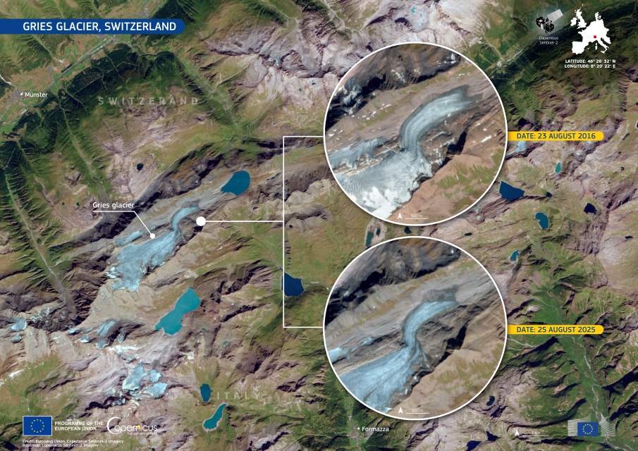 Satellite Image: The Gries Glacier, Switzerland