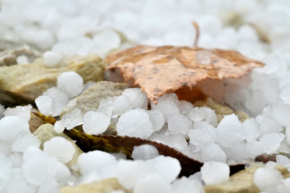 Image: Hailstones