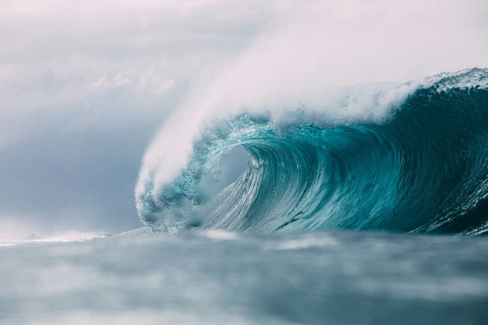 Image: ocean wave