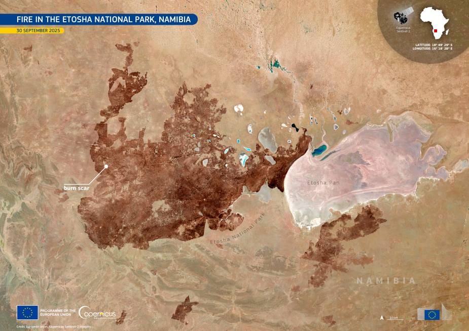 Image of the day: Fire scars Namibia’s Etosha National Park