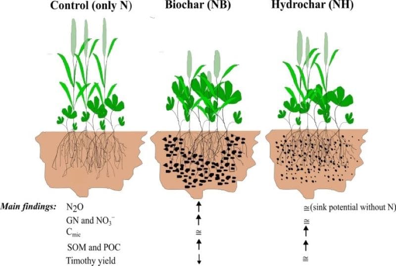 Image: Graphical abstract - Effects of biochar, hydrochar and nitrogen fertilization on greenhouse gas fluxes, soil organic carbon pools, and biomass yield of a boreal legume grassland