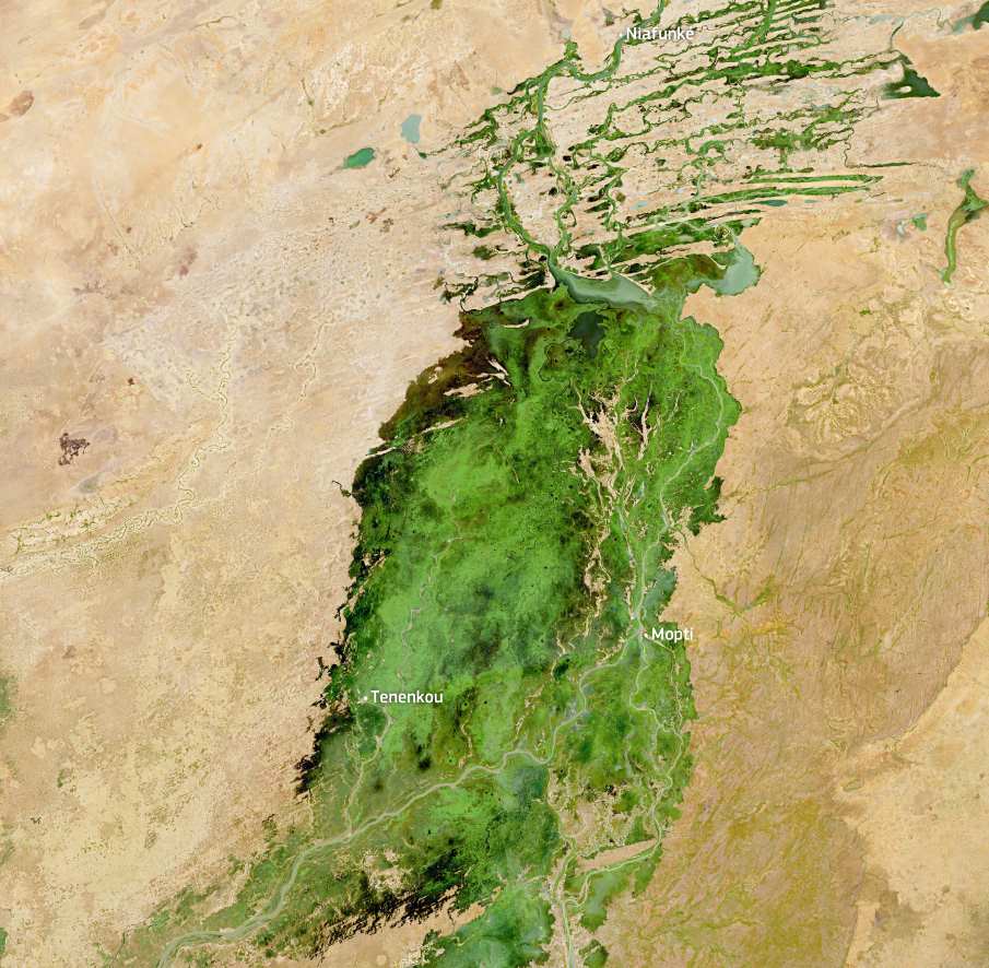 Home Satellite Image: Inland Delta of the Niger River, Mali