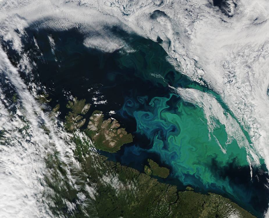 Home Satellite Image: phytoplankton bloom in the Barents Sea (July, 2021)