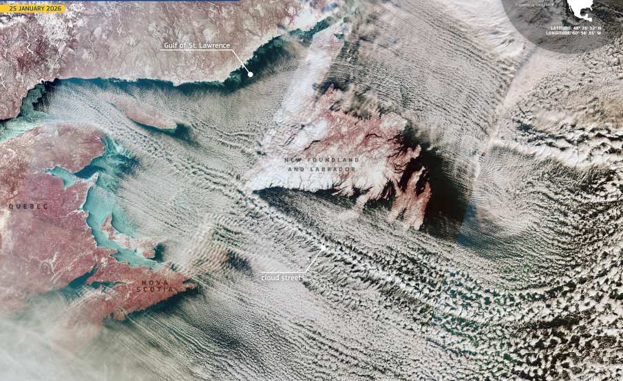 Satellite Image: East coast of Canada