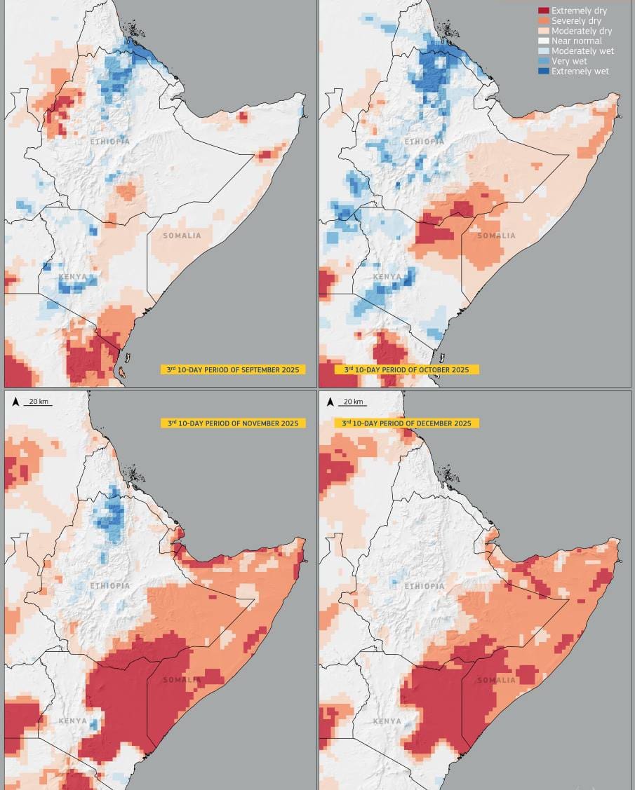 Image of the day: East Africa’s drought at the end of 2025