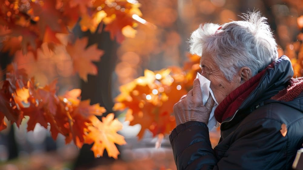 Air pollution linked to higher Alzheimer’s risk