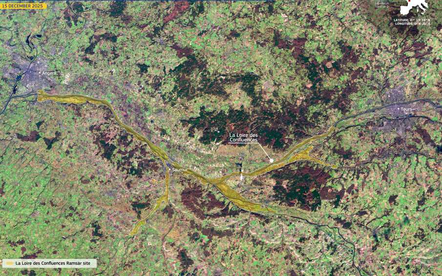 Satellite Image: La Loire des confluences, France
