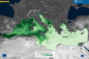 Home Satellite Image: Mediterranean Sea, Chlorophyll -variable monitored by CMS