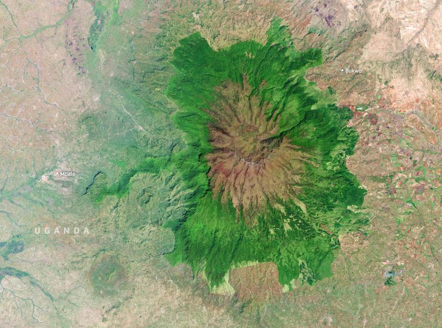 Satellite Image: Mount Elgon National Park, Uganda and Kenya