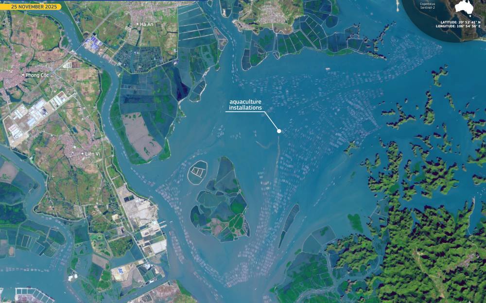 Image of the day: Aquaculture farms across Hạ Long Bay, Vietnam