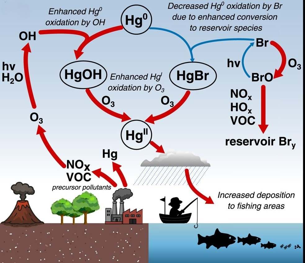 Atmospheric changes linked to mercury pollution in tropical oceans