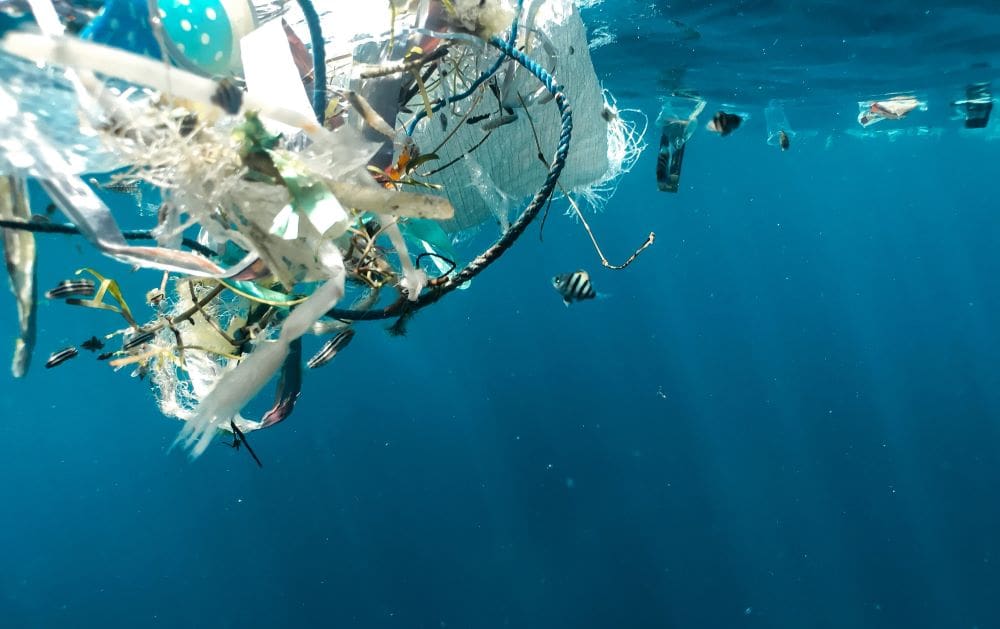 Home Image: marine plastic pollution