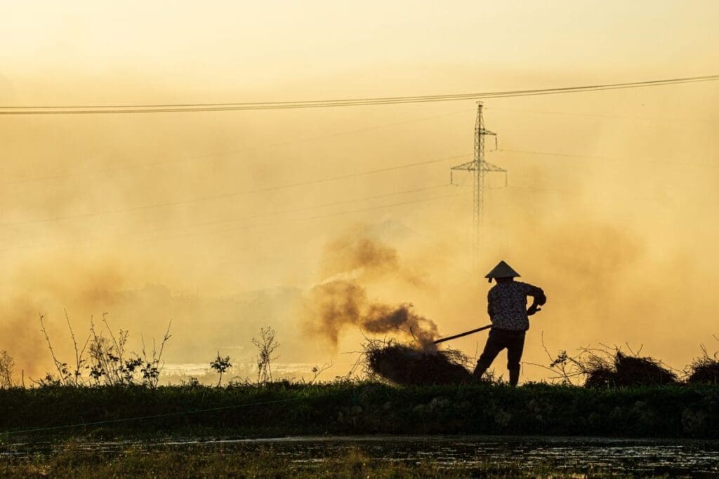 Home Image: a farmer working a field (s. )
