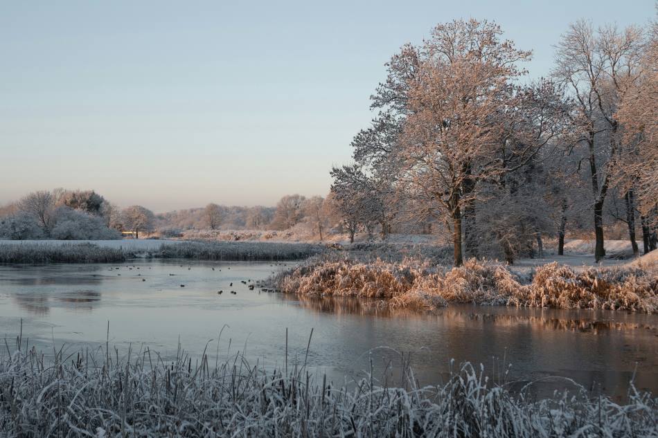 Home Image: a lake surrounded by trees and grass in cold autumn