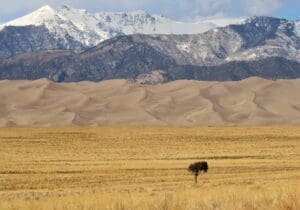 Home Image: WMO 2026 Calendar Competition