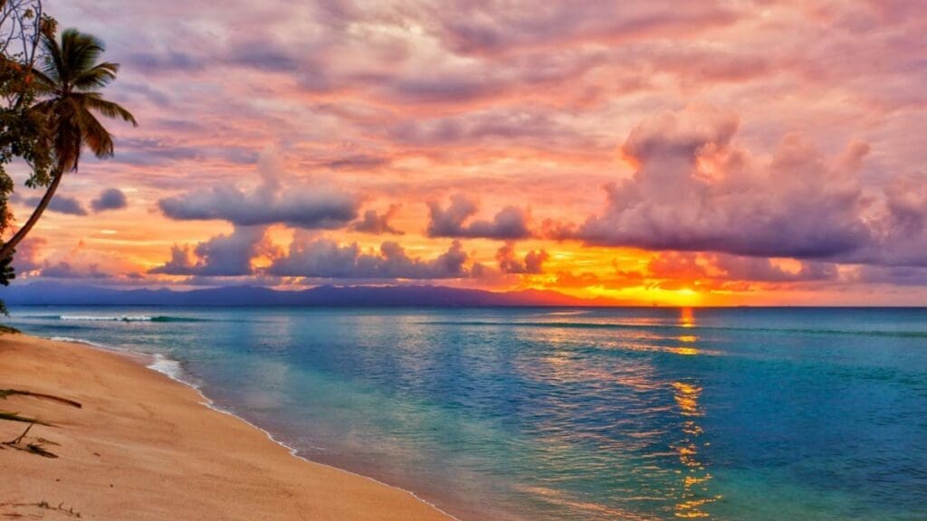 Image: Caribbean seashore