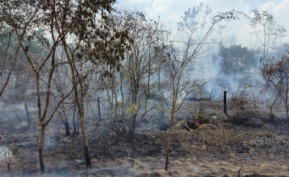 Home Image: Wildfires in Acre state, in the Brazilian Amazon